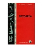 C. Corban, P. Andries - Brosarea - 123121