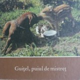 Guitel, Puiul de Mistret - Carte Povesti Copii