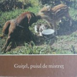 Guitel, puiul de mistret