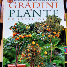 Gradini si plante de interior - Enciclopedia Truffaut