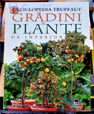 Gradini si plante de interior - Enciclopedia Truffaut foto