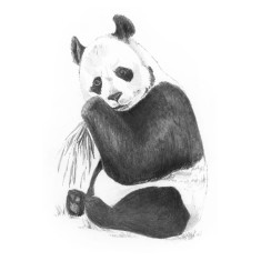 Crochiu incepatori-Panda 13x18 cm foto