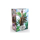 The Metaphysical Cannabis Oracle Deck