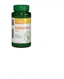 Ginkgo forte 120mg 60cps