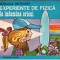 experiente de fizica la indemana oricui mihaela vaiteanu