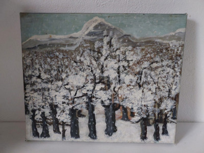 Tablou peisaj de iarna, ulei pe panza, semnat pe dos Lidia 201, 30x25cm foto