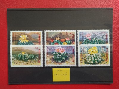 1997 - CACTUSI foto