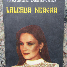 ALEXANDRU DUMAS TATAL - LALEAUA NEAGRA, 1992