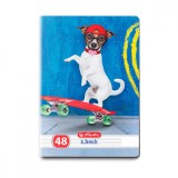 Caiet dictando Herlitz, A5, 48 file, Cool Dog