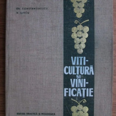 Gh. Constantinescu - Viticultura si vinificatie