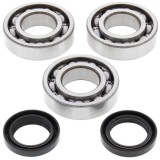 Cumpara ieftin Lagare cu arbore cotit set cu garnituri pentru POLARIS TRAIL BOSS 250 1993-1998