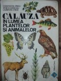 Calauza in lumea plantelor si animalelor- Constantin Parvu, Stoica Godeanu