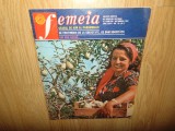 Revista Femeia nr:10 anul 1981