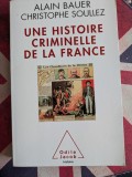 Alain Bauer, Christophe Soullez, Une histoire criminelle de la France