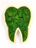 Tablou Dinte de lemn cu licheni stabilizati, 31&times;21 cm, Verde inchis