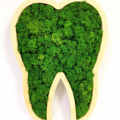 Tablou Dinte de lemn cu licheni stabilizati, 31×21 cm, Verde inchis