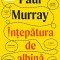 Intepatura De Albina, Paul Murray - Editura Bookzone