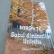 SATUL DIMINETILOR LINISTITE -MIRON TIC 2016 /NOUA