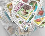 PLIC FILATELIC 50 TIMBRE STRAINE DIFERITE STAMPILATE, CU TEMA CIUPERCI + BONUS, Flora