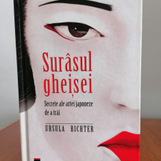 Ursula Richter, Surâsul gheișei. Secrete ale artei japoneze de a trăi