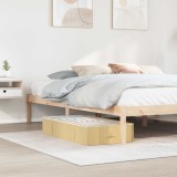 vidaXL Cutie de depozitare cu fereastră superioară transparentă 6 pcs 42024720