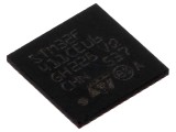 Microcontroler ARM 100MHz 1.7-3.6V UFQFPN48