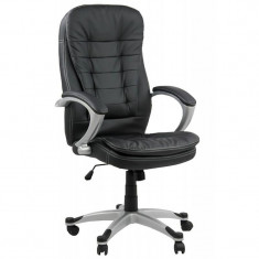 Scaun ergonomic EDPO 201 Black foto