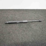 Amortizor Haion Stanga Tesla Model 3 2018 OEM 1091560-00-B