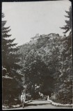 Carte Postala, Deva, vedere din parc spre cetate, 1943
