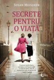 Secrete pentru o viata - Susan Meissner, Litera