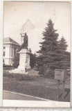 Bnk foto - Ploiesti - Statuia Libertatii - 1975, Alb-Negru, Romania de la 1950, Cladiri
