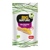 Fulgi de Mei Bio 400 grame Big Nature