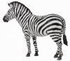 Figurina Zebra - Collecta