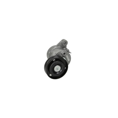 Intinzator curea OPEL ASTRA G hatchback F48 F08 DAYCO APV2676 foto