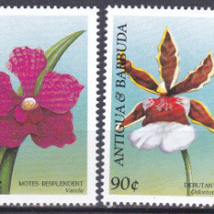 DB1 Flora Orhidee Antigua & Barbuda 1997 6 v. MNH