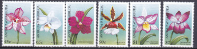 DB1 Flora Orhidee Antigua &amp;amp; Barbuda 1997 6 v. MNH foto