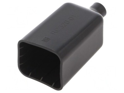 Capac Protecție Conector IEC 60320 foto