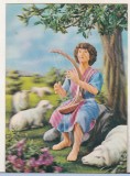 bnk cp Carte postala 3D - Felicitare - Japonia Wonder Co SSP-360