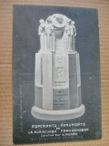 A631-I-Monument Esperanto-Orasul medical Franzensbad-Uniune Mondiala.