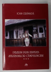 PELERIN PRIN ZESTREA STRABUNILOR CAMPULUNGENI de IOAN GRAMADA , 2010 foto