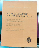Atlas de anatomie a pasarilor domestice - V . Ghetie