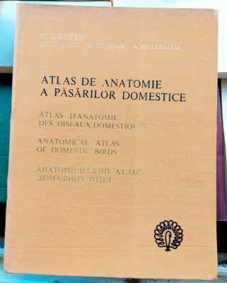 Atlas de anatomie a pasarilor domestice - V . Ghetie foto
