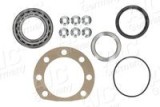 Set rulment roata RENAULT TRAFIC platou / sasiu (T_, P_, V_) (1989 - 2001) AIC 73031
