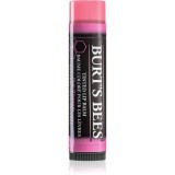 Burt&rsquo;s Bees Tinted Lip Balm balsam de buze culoare Pink Blossom 4.25 g