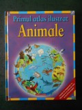 DEBORAH CHANCELLOR - PRIMUL ATLAS ILUSTRAT. ANIMALE (2008, editie cartonata)