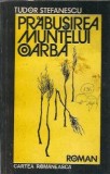 Prabusirea muntelui Oarba - Tudor Stefanescu