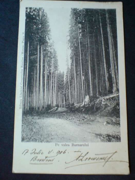 Valea Barnarului
