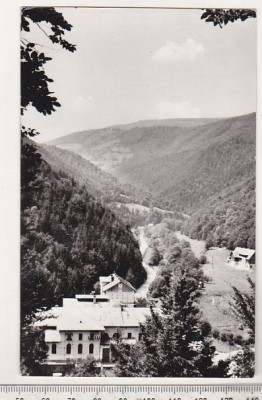 Bnk cp Valea Somesului Rece - Vedere - circulata foto
