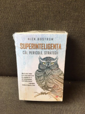 Superinteligenta cai, pericole, strategii - Nick Bostrom foto