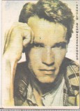 Bnk cld Calendar de buzunar 1993 - Arnold Schwarzenegger